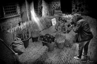 /album/fotogaleria-fotos-b-n/a2-640x480-jpg/